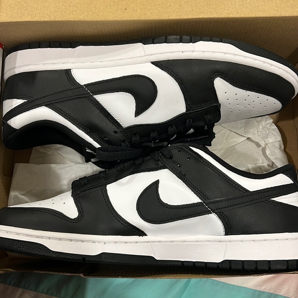 Nwot Mens panda dunks